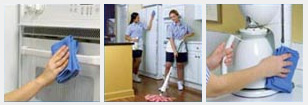 Molly Maid Franchise for Sale