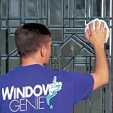 Window Genie Franchise