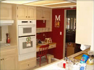 Chameleon Coatings Franchise