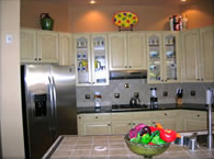 Chameleon Coatings Franchise for Sale