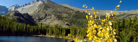 Hunt'n & Fish'n Biz Business Opportunity