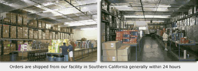 NetSystems Distributor Business Opportunity